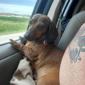 Meet your Posher, Cindy